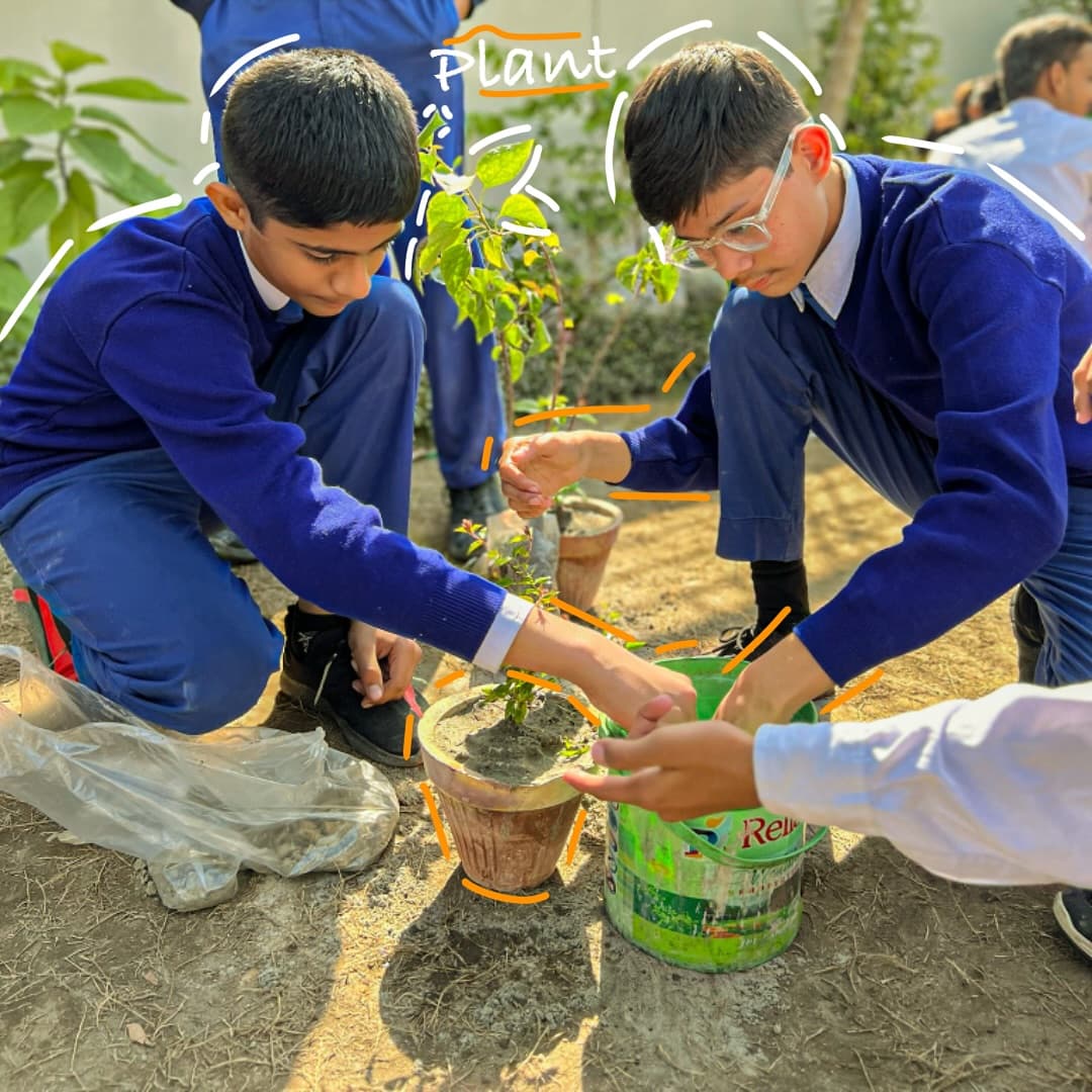 Tree Plantation Drive at Deaf Reach School